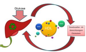 ldl-de