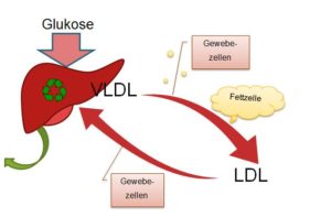 vldl-ldl-de